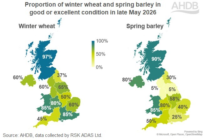 Annotated map showing the variation in winter wheat and spring barley condtion across the UK